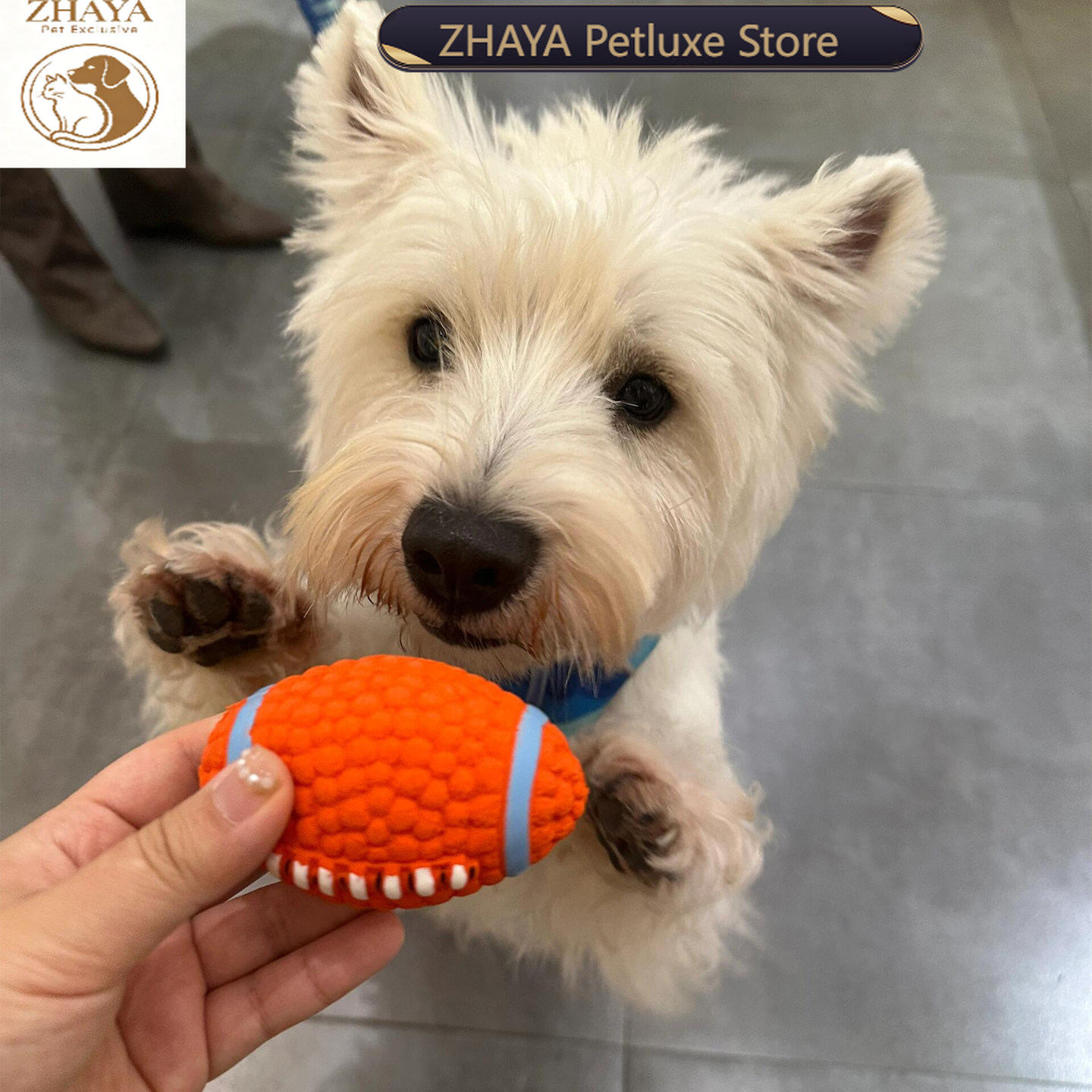 ZHAYA Pet Squeaky Interactive  - Rugby Training Ball recension och pris