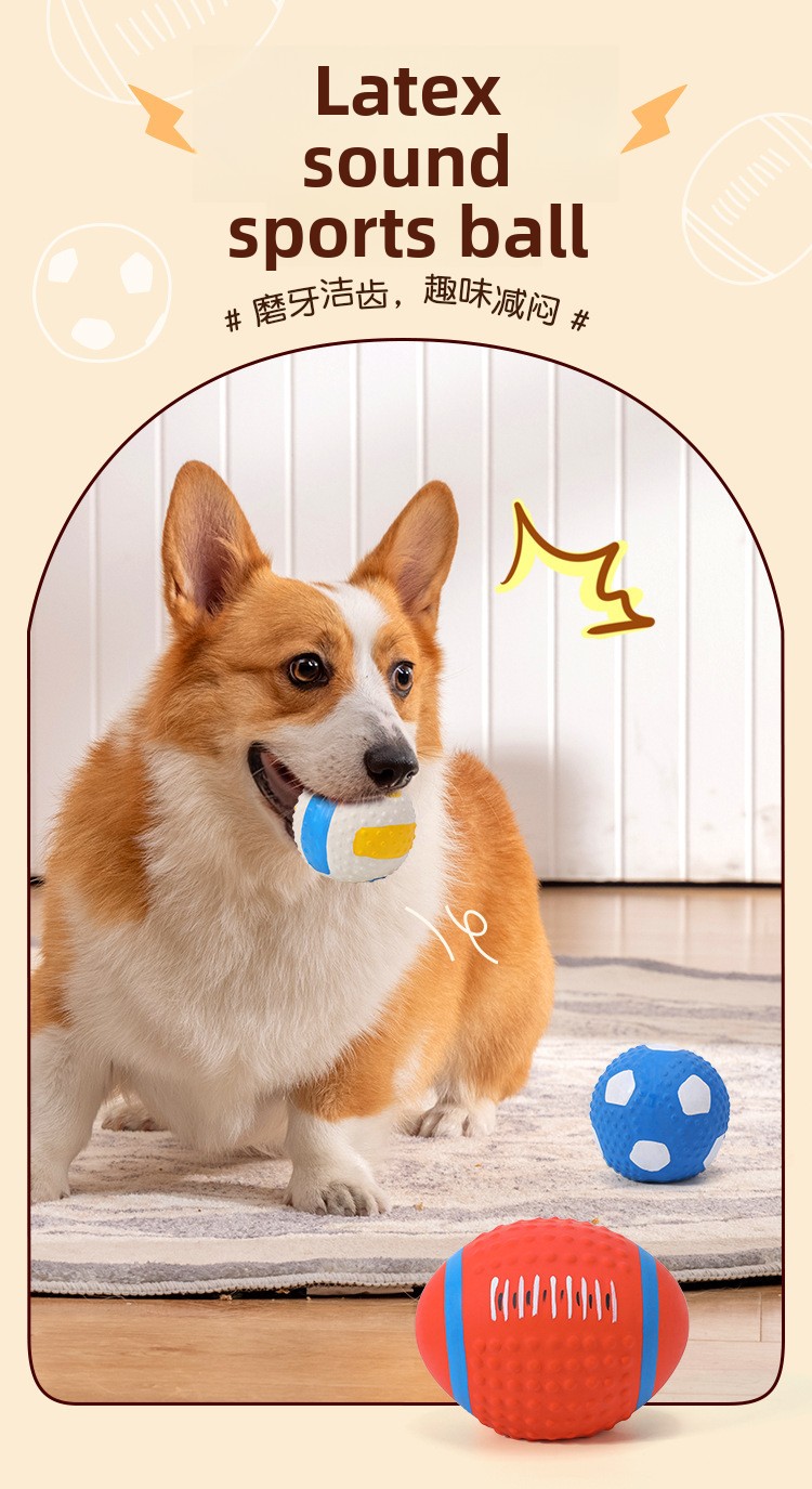 ZHAYA Pet Squeaky Interactive  - Rugby Training Ball recension och pris