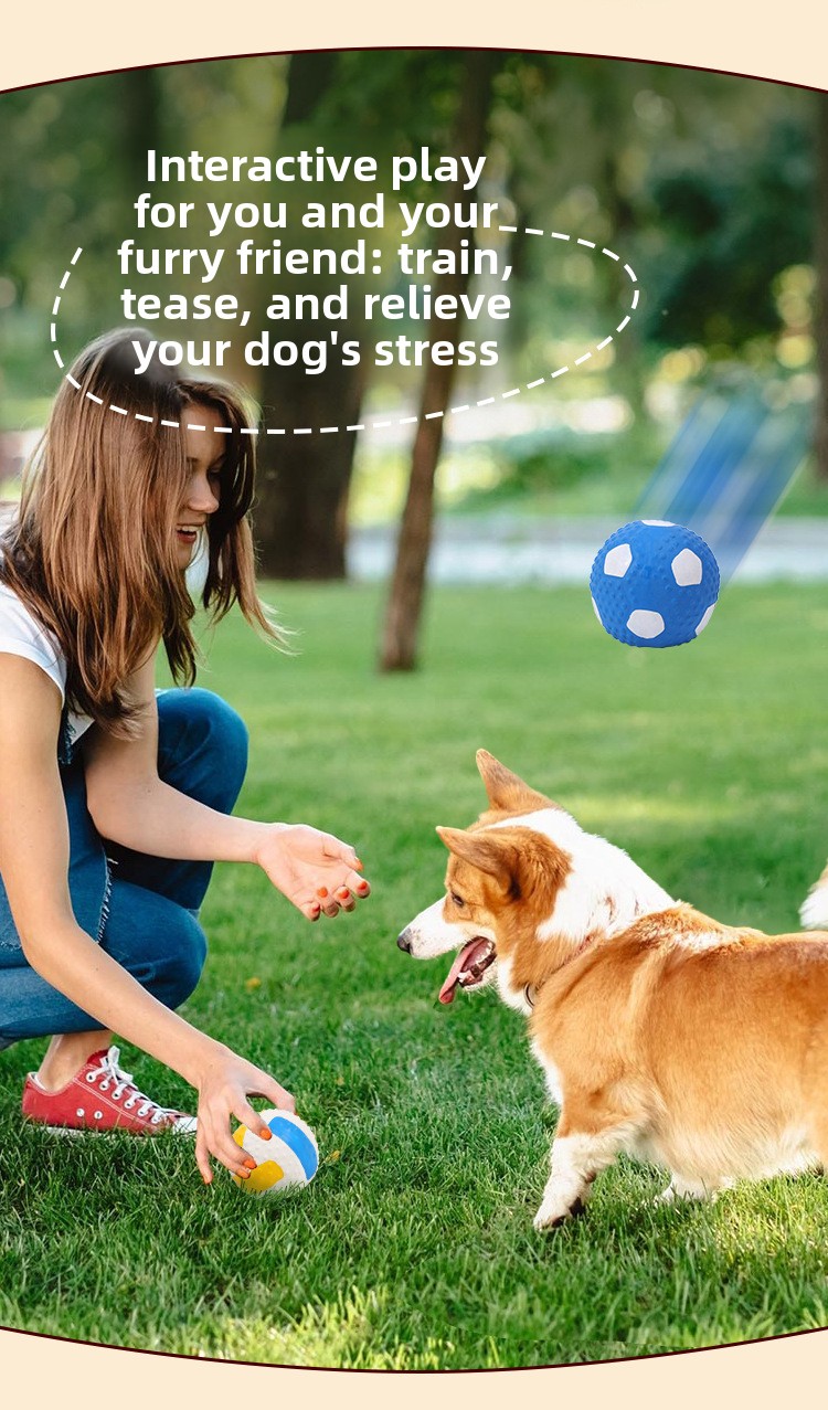 ZHAYA Pet Squeaky Interactive  - Rugby Training Ball recension och pris