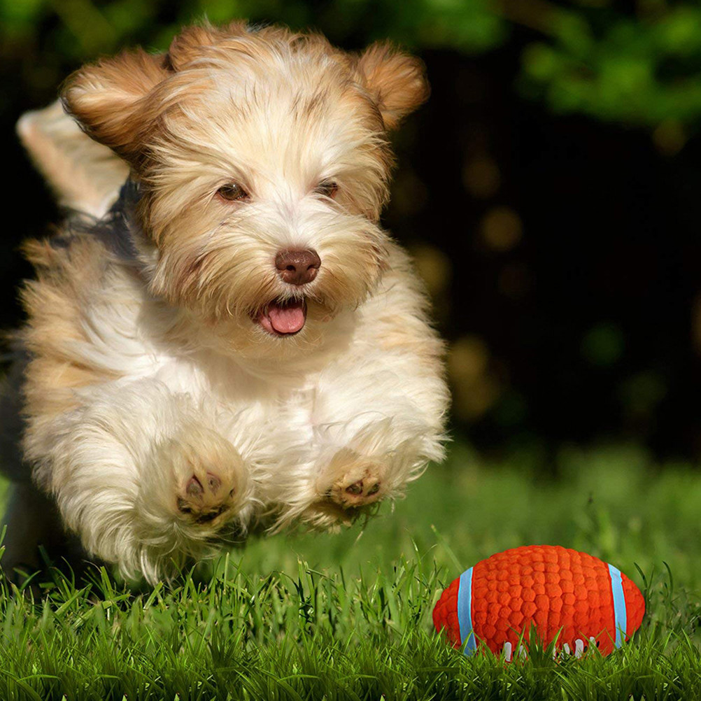 2Pcs Sound Chew Ball Set for P - Rugby Training Ball recension och pris