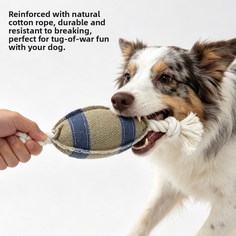 Bite Resistant Dog Chew Rugby  - Rugby Training Ball recension och pris