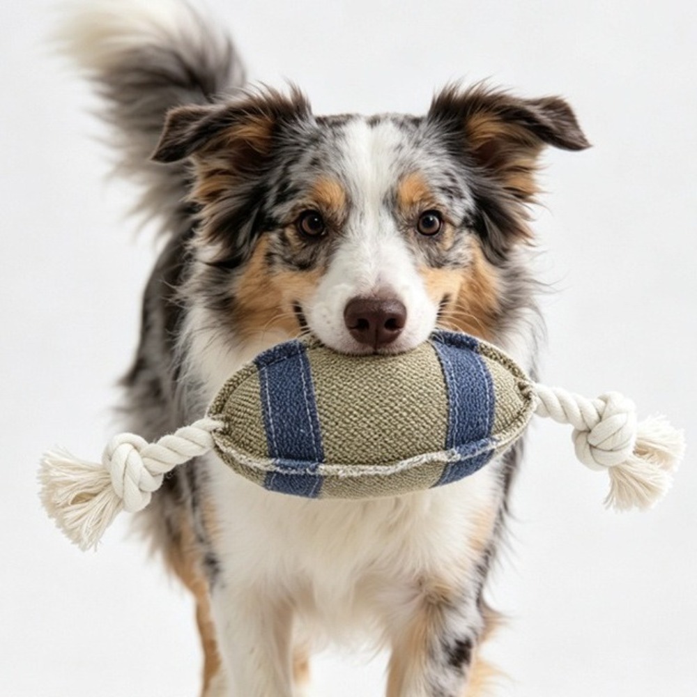 Bite Resistant Dog Chew Rugby  - Rugby Training Ball recension och pris